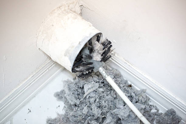 Best Professional Duct Cleaning Services  in New Berlin, IL